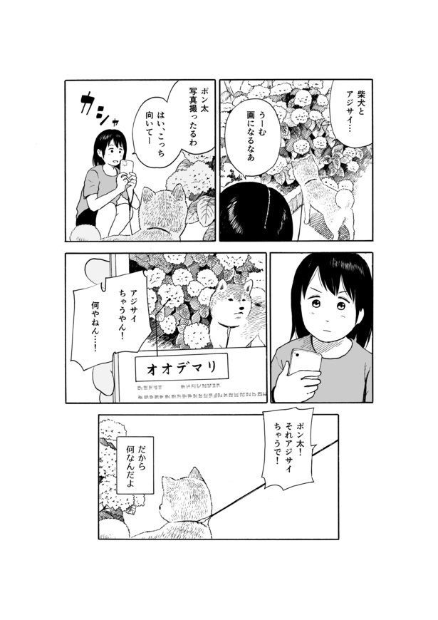 今日のさんぽんた(16)-4