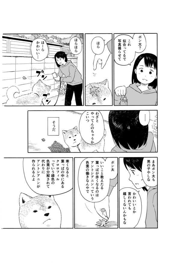 今日のさんぽんた(38)-3