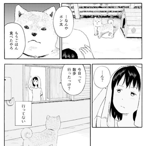 「今日のさんぽんた」より