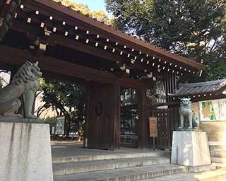 東京の桜はいつ咲く？靖国神社の標準木を見てきた
