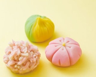 【京都らしい体験】菓子の老舗で職人に教わる！上生菓子を作って食べて楽しむ！
