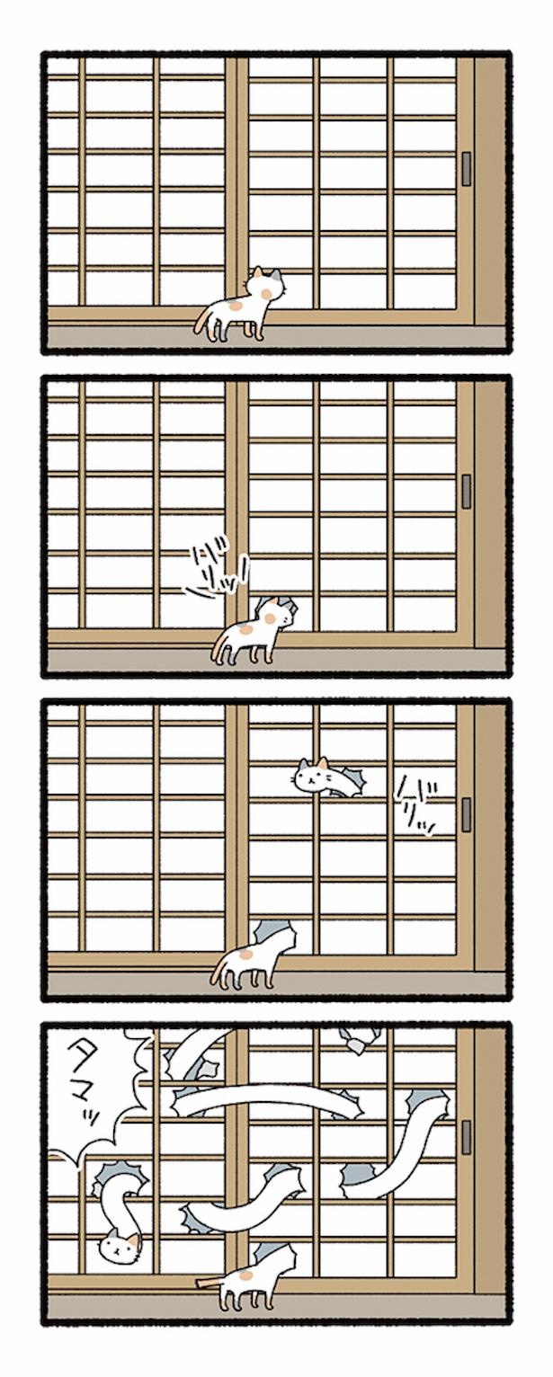 漫画 猫と妖怪を合わせたら 世にも癒やされる ねこようかい になりました ウォーカープラス