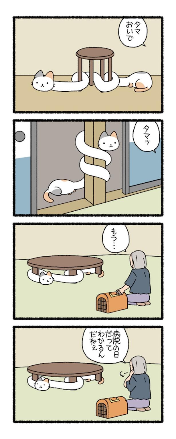 漫画 猫と妖怪を合わせたら 世にも癒やされる ねこようかい になりました ウォーカープラス