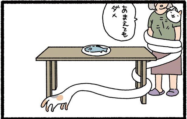 普通の猫かと思いきや、首が伸びる「ろくろくび」な猫だった！