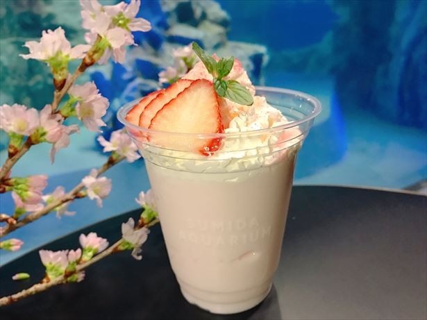 塩バニラ味のソフトクリームに、抹茶味の可愛らしいペンギンクッキーと桜色の白玉をトッピングしたワッフルソフト