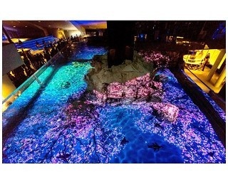 クラゲとペンギンの大型水槽で春の特別演出がスタート！