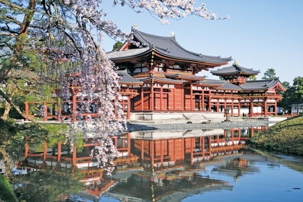 京都4大桜名所 抹茶スイーツに世界遺産もある 美しい山間地 宇治 ウォーカープラス
