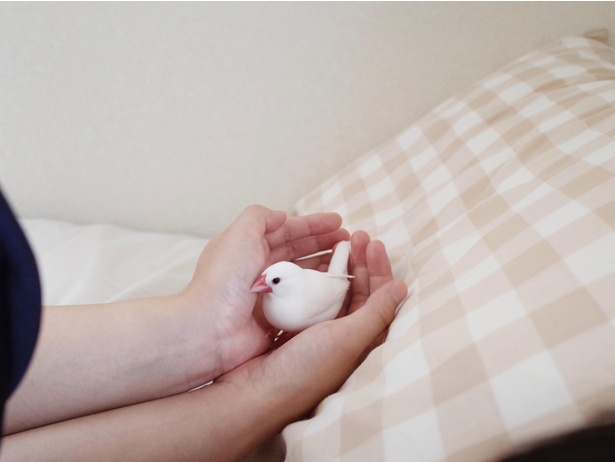 手の中にすっぽり