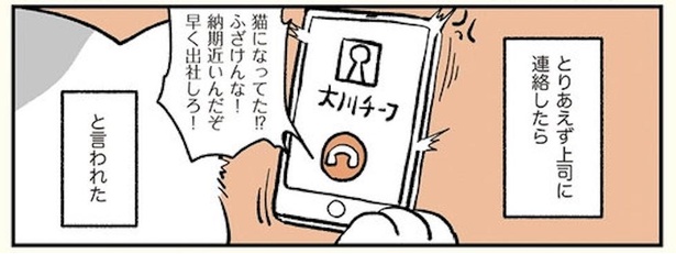 漫画 ブラック企業勤めの俺が朝起きたら猫になってました 見た目は猫 頭脳は大人なねこコメディ ブラック企業の社員が猫になって人生が変わった話 モフ田くんの場合 第1話 1 2 ウォーカープラス