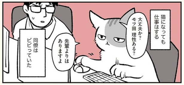 漫画 ブラック企業勤めの俺が朝起きたら猫になってました 見た目は猫 頭脳は大人なねこコメディ ブラック企業の社員が猫になって人生が変わった話 モフ田くんの場合 第1話 1 2 ウォーカープラス