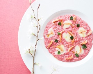 スイーツ、ランチ、カクテル！セント レジスからサクラ色の春メニュー登場