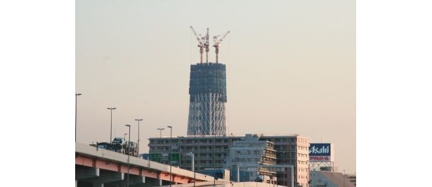 博物館とスカイツリーを見に墨田区へ！