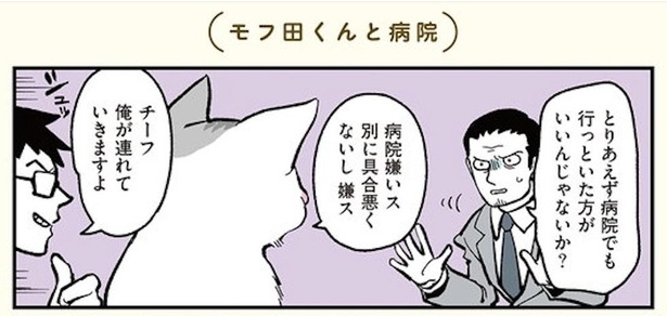 漫画 騙されて連れて行かれた先は病院 猫になっても注射は苦手です ブラック企業の社員が猫になって人生が変わった話 モフ田くんの場合 第2話 1 2 ウォーカープラス