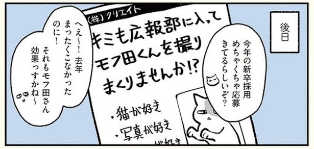 漫画 インスタ映えは難しい 猫のモフ田と広報くんの仁義なき戦い ブラック企業の社員が猫になって人生が変わった話 モフ田 くんの場合 第4話 1 2 ウォーカープラス