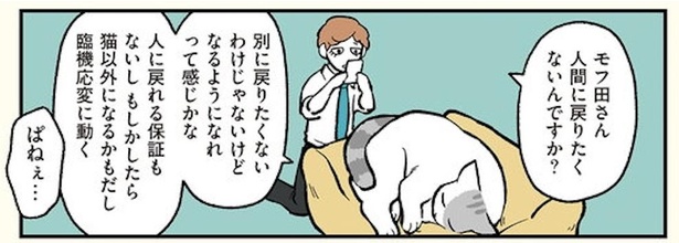 漫画 動物の格好ってよく見ると 元人間 現猫なモフ田の羞恥心 ブラック企業の社員が猫になって人生が変わった話 モフ田 くんの場合 第5話 2 2 ウォーカープラス