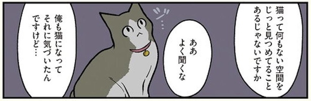 画像11 / 17＞【漫画】猫が見つめる視線の先にはu2026？猫には猫の「怖い話 
