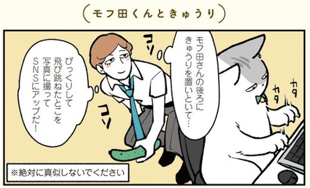 画像2 4 漫画 真似しにゃいでね ドッキリを仕掛けられたモフ田に悲劇が ブラック企業の社員が猫になって人生が変わった話 モフ田くんの場合 第10話 ウォーカープラス