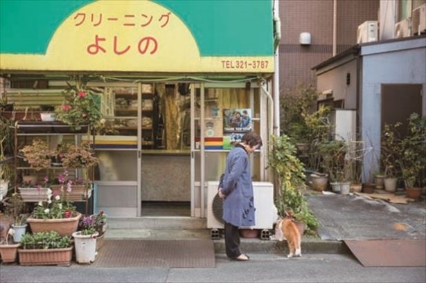店の前で水をペロリ