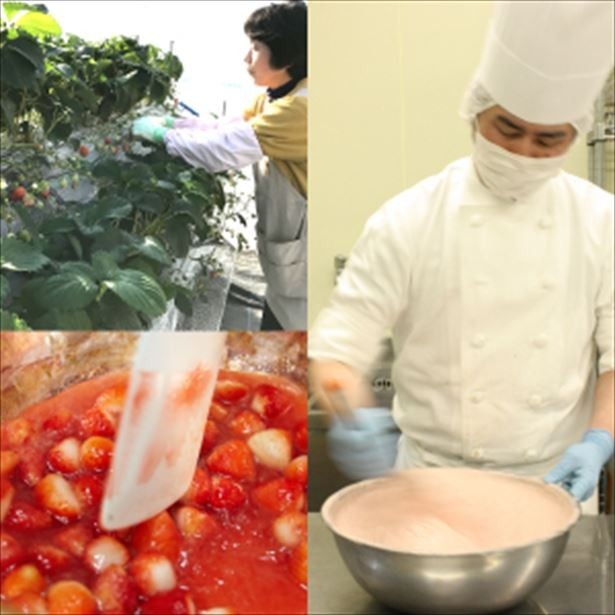 生産から販売まですべてを手掛ける「完熟いちご菓子研究所」