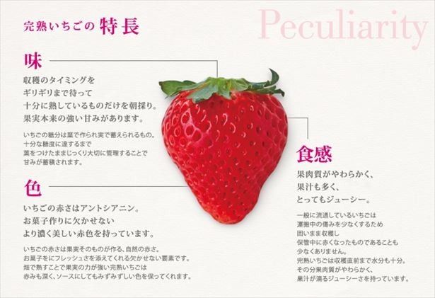 ほかでは手に入らない「完熟いちご」の特徴