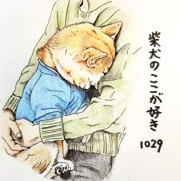 画像11 お水 飲む に無表情で いらん など 柴犬あるあるが分かり過ぎてかわいい ウォーカープラス