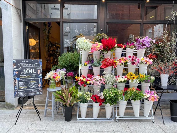SDGs】廃棄される規格外の花を1本100円で販売！hananeが目指す“消費者