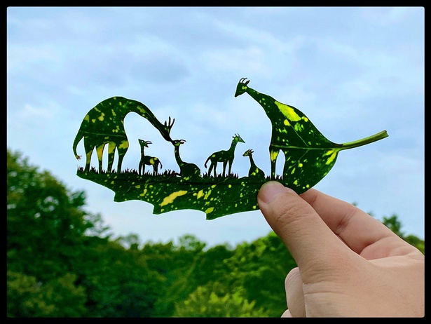 「キリンの保育園」。アオキの独特の斑点模様を生かしている