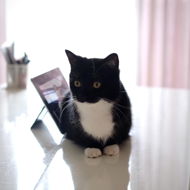 虚無の顔が得意