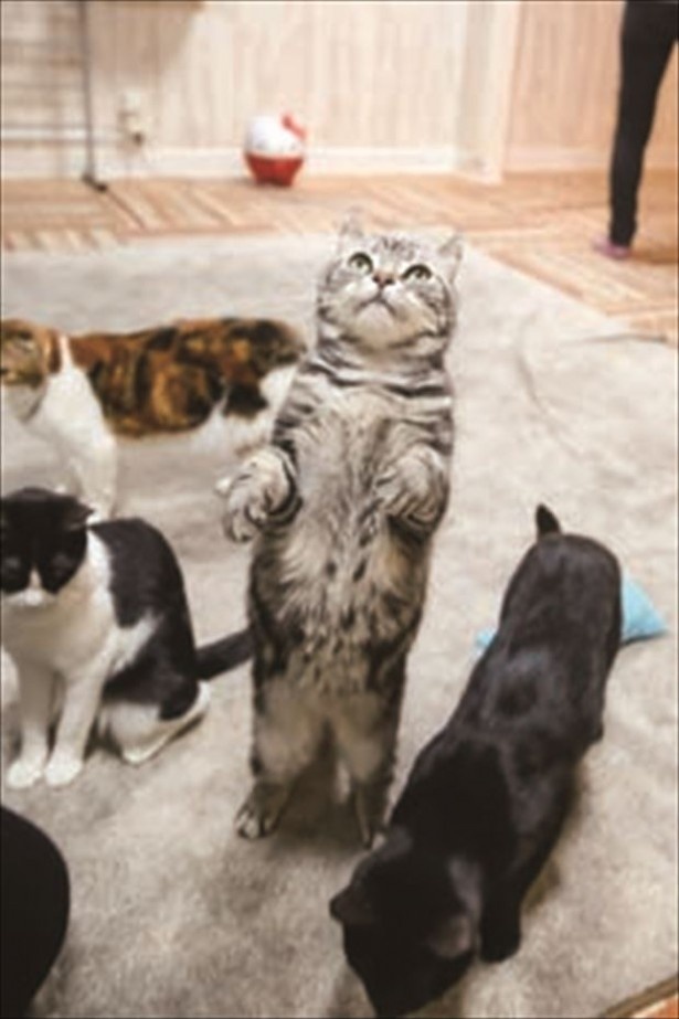 「立てるよ♪」