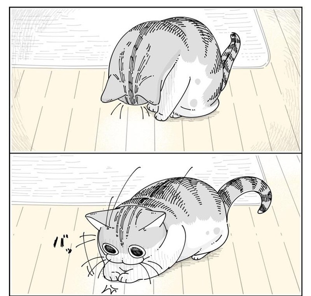 画像4 / 314＞「うちの猫様と一緒！」”あるもの”を捕まえようと奮闘