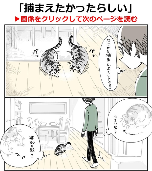 【画像】何を捕まえたの？…漫画の本編