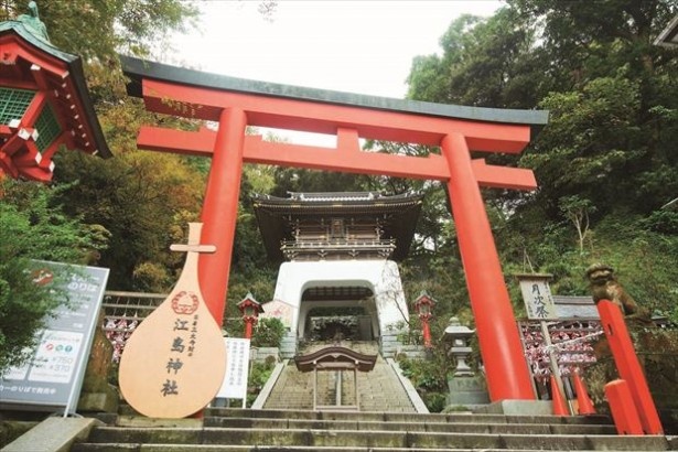 【写真を見る】ネコたちのパラダイス、江島神社の奥津宮