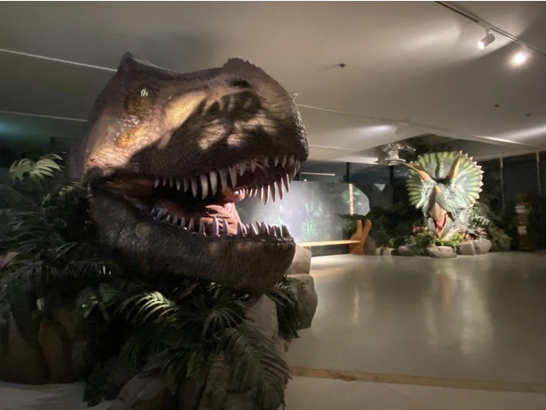 「友情の森」には、クリス・ウェイラス氏から親友の証として贈られた巨大なティラノサウルスとトリケラトプスのレプリカヘッドが鎮座