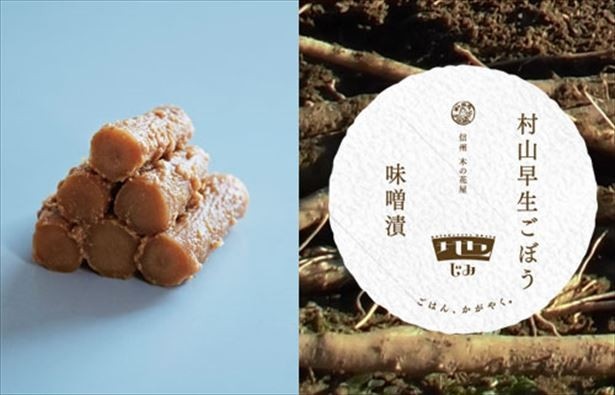 しゃきしゃきした柔らかいゴボウの食感が楽しめる「村山早生ごぼう味噌漬」