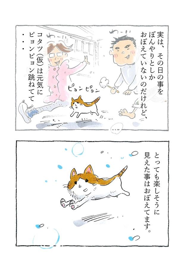 漫画】猫のコタツと大塚くん《第4話》「めぃめぃ。」｜ウォーカープラス