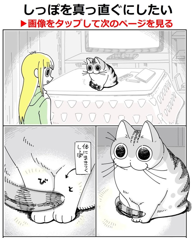 画像75 308 クルクル回って座るネコ の 謎行動 に胸キュン 愛猫の あるある を描いた漫画が話題 ウォーカープラス