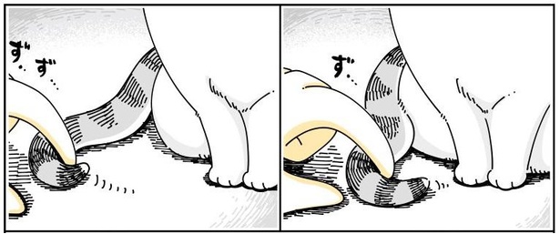 画像77 308 クルクル回って座るネコ の 謎行動 に胸キュン 愛猫の あるある を描いた漫画が話題 ウォーカープラス