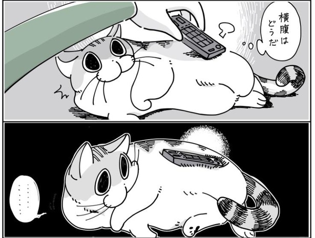 「ネコに乗せたくなる」9/10