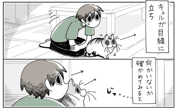 「何かを見つめるネコ」5/7