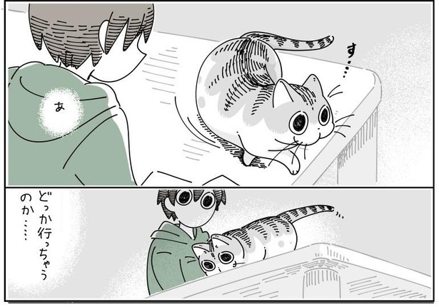 「座り直すネコ」02