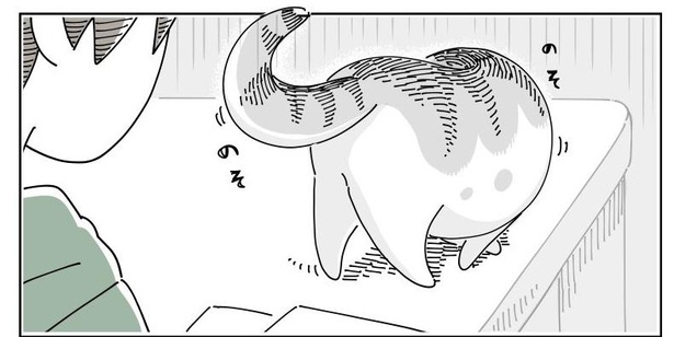 「座り直すネコ」03