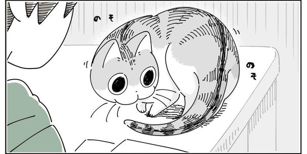 「座り直すネコ」04