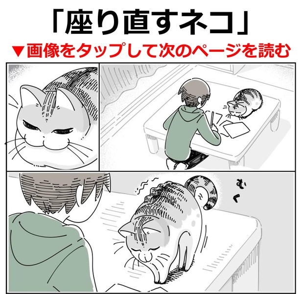 画像2 308 クルクル回って座るネコ の 謎行動 に胸キュン 愛猫の あるある を描いた漫画が話題 ウォーカープラス