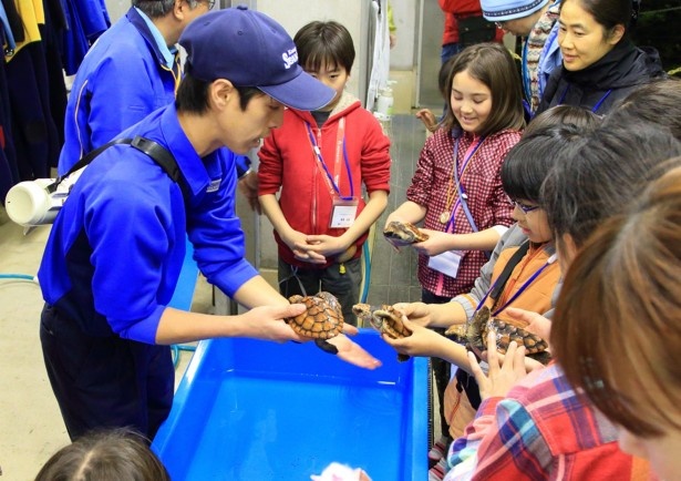 そのほか子供に嬉しい“ふれあい体験”も充実している