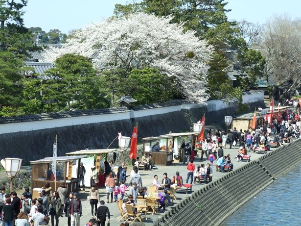 花見屋台に夜桜ライトアップ おかげ横丁の 五十鈴川桜まつり がイチオシ ウォーカープラス