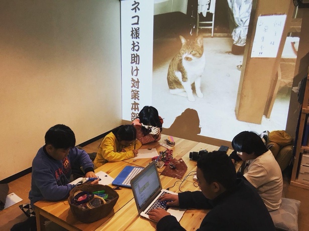 捨て猫をかわいそうに思った生徒が、飼い主を見つけるために立ち上げたプロジェクト「ネコ様お助け対策本部」