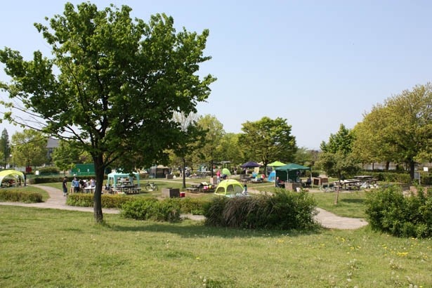戸田川緑地 ピクニック広場