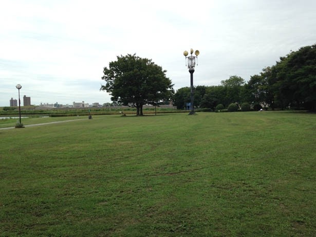 庄内緑地公園 ピクニック広場