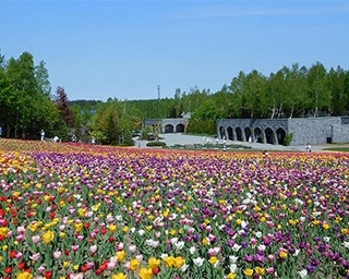 札幌市内から30km圏内で行ける！自然あふれる北海道ドライブ旅
