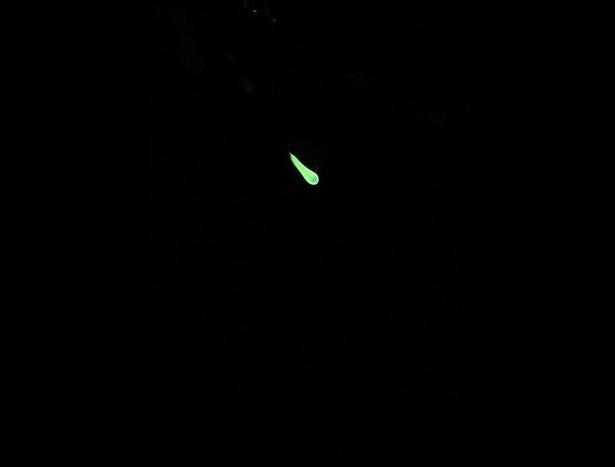 カメラのフラッシュをオフにし、遠目から撮影。緑色の炎が暗闇に不気味に揺れる